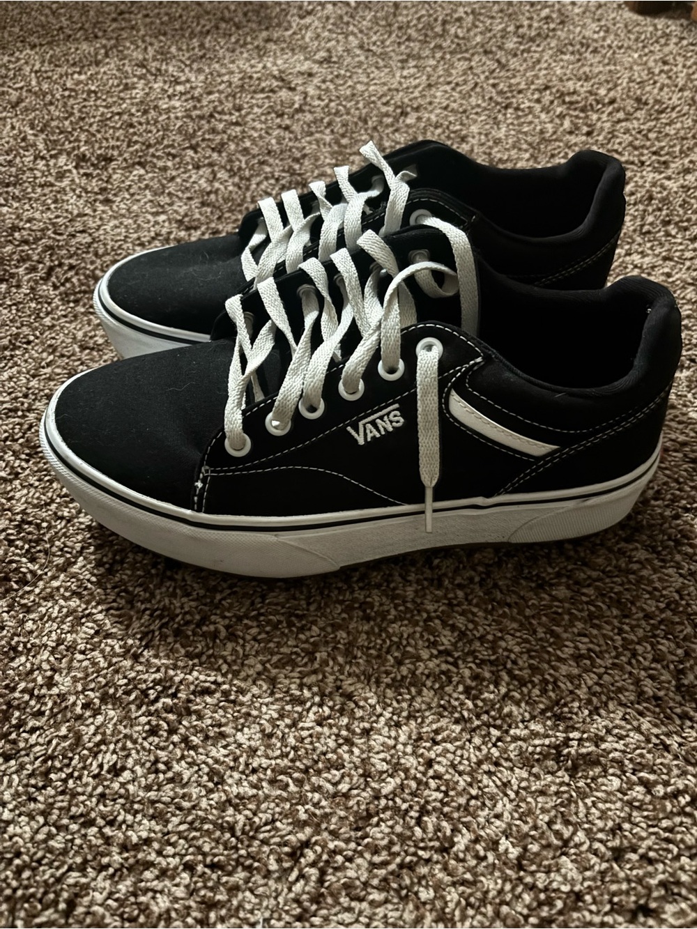 Vans Black and White Low-Top platform Skate Shoe